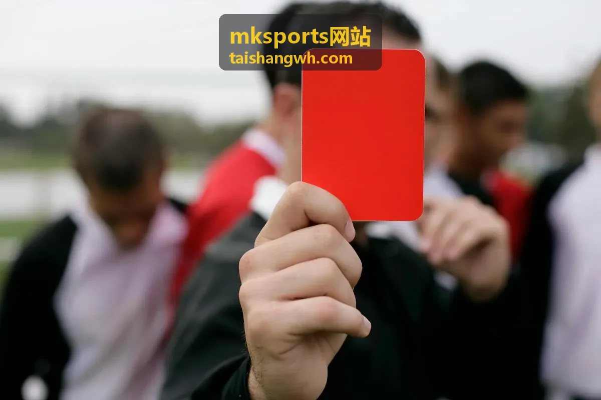 mksports网站 运动装备选购之护膝护踝
