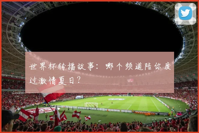 世界杯转播故事：哪个频道陪你度过激情夏日？