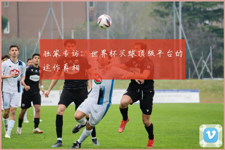 独家专访:世界杯买球顶级平台的运作真相