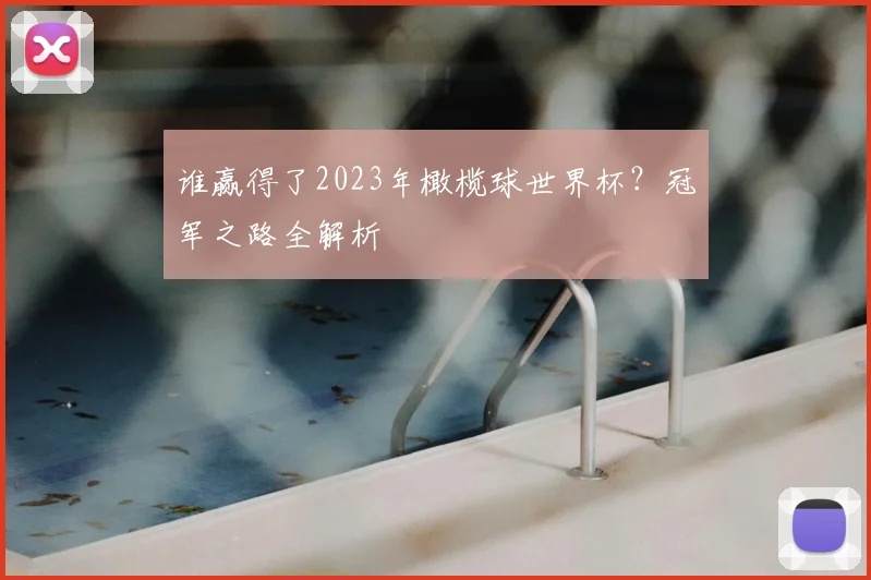 谁赢得了2023年橄榄球世界杯？冠军之路全解析